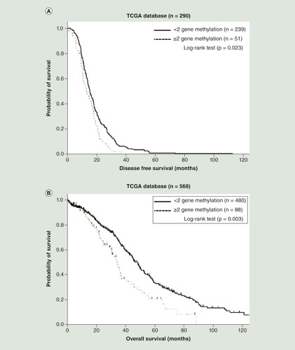 Figure 4.  Kaplan–Meier analysis of disease-free survival and overall survival of ovarian cancer patients from The Cancer Genome Atlas database. (A) Patients with two or three methylated genes had a significantly shorter disease-free survival (p = 0.023; log-rank test). (B) Patients with two or three methylated genes had a significantly shorter overall survival (p = 0.003; log-rank test).TGCA: The Cancer Genome Atlas.