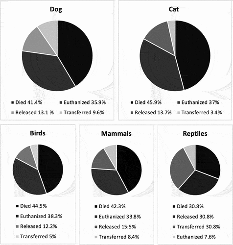 Figure 2. Outcome of patients admitted to USFQ-WVH (2017–2022) according to attacks by dog or cat, and the taxonomic group.