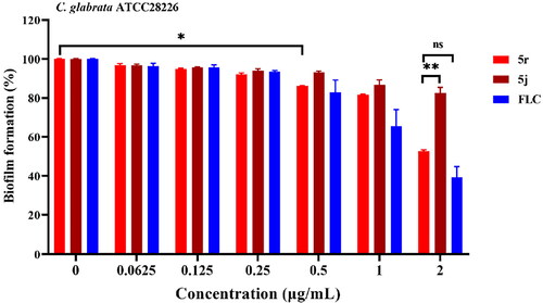 Figure 3. The effect of 5j, 5r, and FLC on C. glabrata biofilm formation in vitro. To evaluate the inhibitory activity of compounds 5j and 5r against biofilm formation in C. glabrata ATCC28226 compared with that of FLC by the XTT reduction assay. FLC, fluconazole.