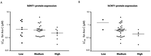 Figure 3. Sensitivity of primary AML samples (depicted as Ara-C LC50 values) in hENT1 (3 A) and hCNT1 (3B) immunohistochemistry score groups.