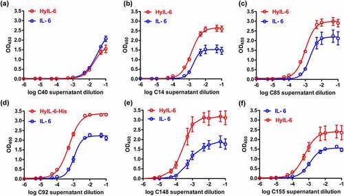 Figure 2. The binding characteristics of antibodies to IL-6 and HyIL-6 from hybridoma culture supernatants. After the microplates were coated with IL-6 (20 ng/well) or HyIL-6 (60 ng/well) overnight, indirect ELISA was conducted with serial dilution of IgG-normalized hybridoma culture supernatants. The OD450 binding curves of hybridoma candidates C40, C14, C85, C92, C148, and C155 were shown in (a-f). Data are compiled from three independent experiments. Values represent the mean ± SEM. Fig. (a) to (f) Comparative line graphs plotting absorbance (OD450) observed of IL-6 versus HyIL-6 from C40, C14, C85, C92, C148 and C155 hybridoma candidates.