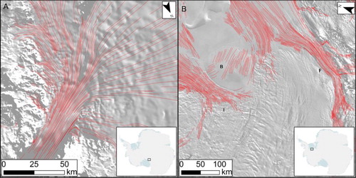 Figure 8. Examples of regular spacing of LSSs. Background is a semi-transparent MODIS image. (A) Mapped LSSs of Byrd Glacier. Note how features become evenly spaced as they converge into the main trunk of the glacier. (B) Regularly spaced flow-stripes of the Institute Ice Stream (I), Bugenstock Ice Rise (B) and Foundation Ice Stream (F).