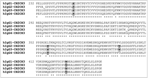 Figure 1 Amino acid sequence homology of the four IgG subclasses.