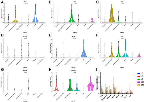 Figure 4 The expression level of SASPs in different senescent cell types and in fibroblasts at different time points. (A–H) The expression level of SASPs in different senescent cell types. (I) The expression level of SASPs in fibroblasts at different time points.