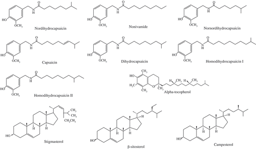 FIGURE 1 Structures of capsaicinoids, α-tocopherol, and sterols estimated by the GC-MS method.