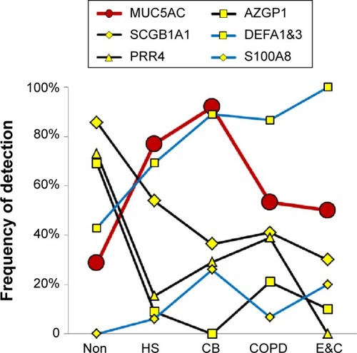 Figure 4 Epithelial proteins.