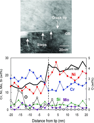 Figure 24 TEM image and solute distribution near the IASCC crack tip in CW type 316 SSs PWR-irradiated to 38 dpa after the constant load test at 750 MPa in PWR water conditions [Citation304]