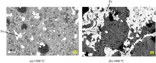 Figure 8. Microstructure of 1300°C and 1400°C heat-treated pre-reduced pellets (backscattered electron micrograph).