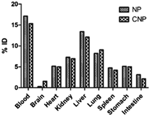 Figure 11. Concentration (%ID) of delivery system in tissue samples collected at 30 min after single dose of CNP or NP. N = 3. Mean ± SD. p < 0.05 versus NP.