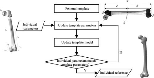 Figure 2. The algorithm of model construction of individual reference.