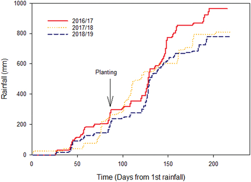 Figure 3. Cumulative rainfall during the experimentation period.