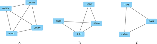 Figure 8 Screen results analyzed by the target genes based on the core network.