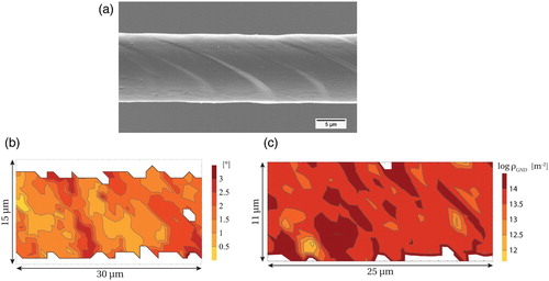 Figure 5. SEM image of a deformed microwire initially oriented for multiple-slip; contour plot of misorientation angle [∘] (left) and dislocation density log⁡ρGND[m−2] (right).