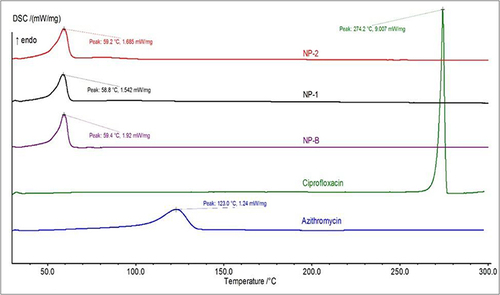 Figure 4 Differential scanning calorimetry (DSC) thermograms of ciprofloxacin (CIP), azithromycin (AZ), NP-B, NP-1, and NP-2 formulations.