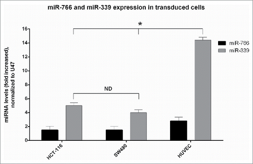 Figure 2. Expression of miR-766 and miR-339 in different cell lines before and after transduction with lenti-miR-766 and lenti-miR-339. The asterisks indicate the groups which were signiﬁcantly diﬀerent (p < 0.05) from each other, and the ND indicates not detectable diﬀerences between groups.