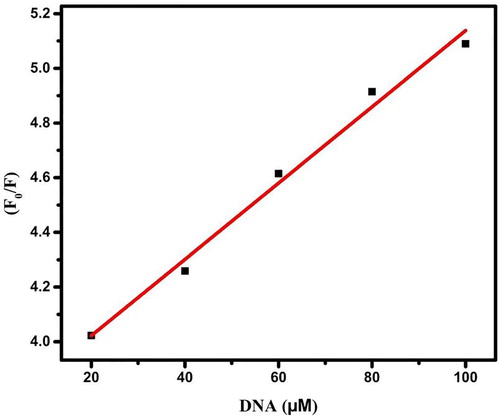 Figure 12. Stern-Volmer plot for quenching of ML2 by CT-DNA.