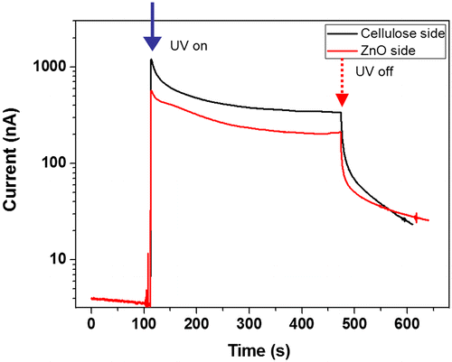 Figure 7. Bi-directional photoresponse behavior of the CEZOHN.