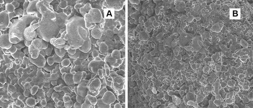 Figure 8 SEM image of (A) LUM nanocarriers prepared by ESEM, (B) LUM nanocarriers prepared by NPM.