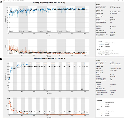 Figure 6 The training curves of accuracy and loss during binary classification using AlexNet (a) and custom CNN (b).