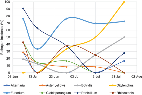 Fig. 1 Incidence of garlic pathogen detections on samples collected at five sampling dates between June 8 and July 27, 2023.