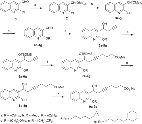 Scheme 1.  Synthesis of esters 8a–8g and sodium salts 9a–9g. Reagents and conditions: (a) CH(OMe)3, NH4NO3, MeOH, reflux, 4 h, 96%; (b) appropriate ROH, NaH, NMP, 0°C to rt, 12 h, 70–98%; (c) PTSA, THF/H2O, reflux, 4 h, 84–99%; (d) propargyl bromide, Mg, HgCl2, Et2O, −78°C to rt, 2 h, 72–99%; (e) TBDMSCl, Im., DMF, 0°C to rt, 12 h, 70–94%; (f) n-BuLi, THF, −78°C, 30 min, Br(CH2)3C(OCH3)3, HMPA, −60°C to rt, 12 h, then aq. NH4Cl 38–89%; (g) TBAF, THF, 45°C, 2 h, 47–82%; (h) LiOH·H2O, MeOH/H2O, rt, 48 h, (CO2H)2, 44–99% then NaOH, 87–95%.