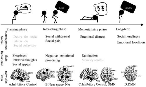 Figure 1. The framework of sleep loss causes social dysfunctions at different stages of social interaction. The gray words show a reduction or decrease, and the black words show an increase. The black dots show an activation increase, and the gray one refers to an activation decrease. Solid lines indicated exaggerated coupling, and dashed lines indicated weakened functional connectivity. A, B, and C indicate functional changes in the brain network by frontal and sagittal planes (details in Figure 2), and D indicates structural changes by labeling the core region of the default network with a frontal plane.