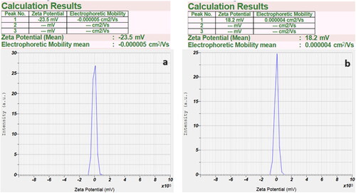 Figure 5. Zeta Potential of pure ethylene glycol dispersed with 0.5% CNT–GNP surface modified with SDS with a ratio of (3:1) on a) the first day and b) the 60th day.