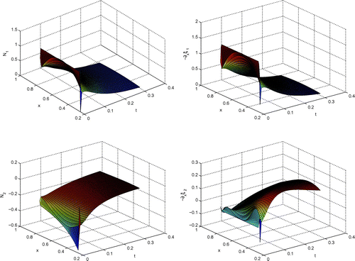 Figure 3. Results of the 3D plots in time and space. Notes: The upper figures present the results of the flux N1 and concentration gradient -∂xξ1. The lower figures present the results of the flux N2 and concentration gradient -∂xξ2.