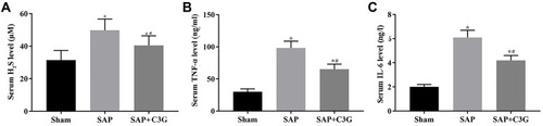 Figure 2 C3G administration suppressed H2S production and cytokine levels in SAP-model rats. Serum (A) H2S, (B) TNF-α and (C) IL-6 levels. *P<0.05 vs sham group; #P<0.05 vs SAP group.