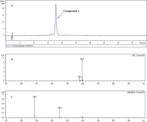 Figure 1. High performance liquid chromatography (HPLC) analysis of main litchi pericarp anthocyanins at 520 nm (a) and ESI-MS (b), MS2 (c) information of compound 1.