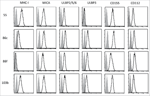 Figure 1. Cell surface expression of MHC, NKG2D-ligands and DNAM1-ligands on melanoma cells. The metastatic melanoma cells Ma-Mel-55 (55), Ma-Mel-86c (86c), Ma-Mel-86f (86f) and Ma-Mel-103b (103b) were stained with the indicated antibodies and analysed by flow cytometry. Isotype control appears in grey, and signal for each antibody as a black line. The panel shows one representative experiment out of 3–5.
