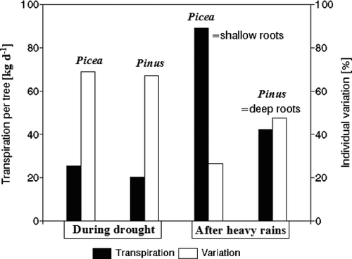 Figure 2. Transpiration rates of species with contrasting rooting depth (shallow: Picea abies, and deep: Pinus sylvestris) under changing soil moisture conditions in surface and deep soil horizons (Čermák et al., Citation1992). Variation between individual trees is expressed as a percentage of the mean.