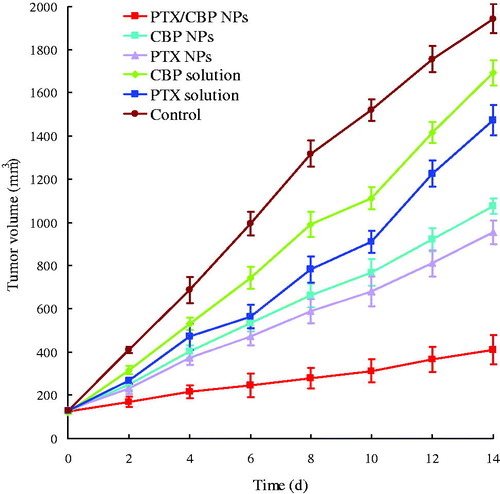 Figure 4. In vivo anticancer efficacy presented as tumor volume changes after treatment with PTX/CBP NPs, CBP NPs, PTX NPs, CBP solution, PTX solution and 0.9% saline control in NCL-H460 tumor-bearing BALB/c nude mice models.