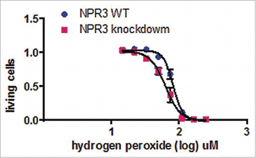Figure 2. Effects of H2O2 on NPR3 knock-down H9C2 cell viability. Cells were incubated with increasing concentrations of H2O2 (0 to 250 nM) for 18 hours. Cell viability was measured by MTS assay. A significant decrease in cell viability with increased H2O2 concentration was observed in NPR3 knock-down H9C2 cells (P < 0 .05).