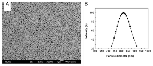 Figure 1. SEM photographs and size distribution of PLA microspheres. (A) Microsphere suspension was spotted on aluminum foil and dried naturally. Surface morphology of PLA microspheres was observed by SEM (B) Microspheres suspended in distilled water were examined by dynamic light scattering technology for size distribution.