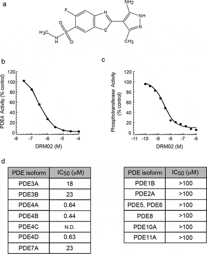 Figure 1. Pharmacological activity of DRM02 in vitro.