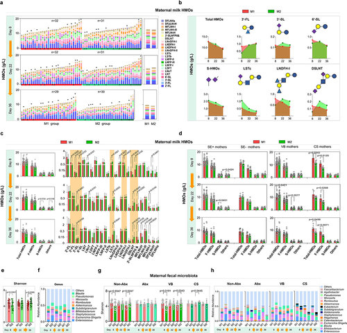 Figure 4. Dynamics of the major HMO fractions and gut microbiota in participants.