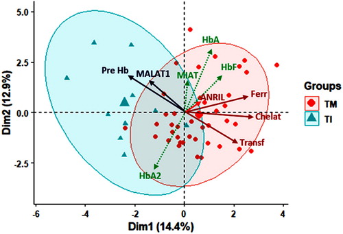 Figure 3. Principal component analysis for data exploration. Red circle surrounds the TM group while blue circle for TI group. Results were plotted on both axes. Red and blue solid lines influence TM and TI, respectively. Dim: dimension, TM: thalassemia major, TI: thalassemia intermedia, Pre-Hb: mean hemoglobin level pre-transfusion, HbA: adult Hb, HbF: fetal Hb, Ferr: ferritin, Chelat: chealtor use, Transf: blood transfusion.