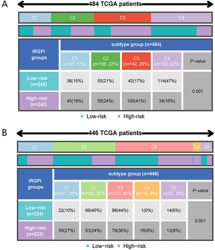 Figure 4 Dispersion of immune and molecular categories and the immunological reaction to ICI treatment within distinct IRGPI subcategories. (A) a Heat map and tabulation of LUAD immune categories across the various IRGPI subgroups. (B) Heat map and tabulation of LUAD immune categories across the diverse IRGPI subgroups. The contrasting immune classifications within the IRGPI subgroups were examined through 2 tests.