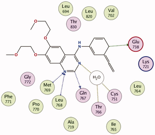 Figure 9. 2D diagram for the binding of erlotinib in the EGFR active site (PDB: 1M17).