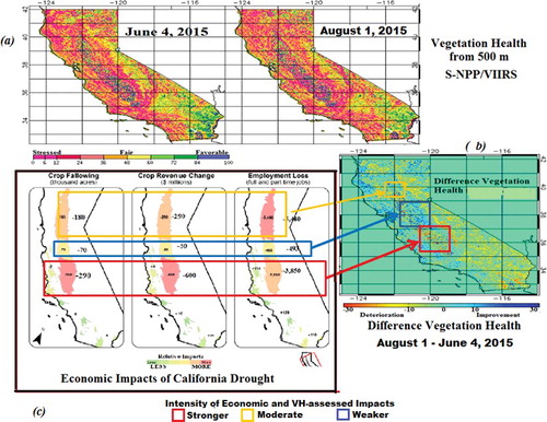 Figure 4. Validation of VIIRS/VH-500 against economic impacts of California drought in 2015: (a) VIIRS/VHI for each 0.25 km2 pixels on June 4 and August 1; (b) VHI difference between 1 August and 4 June 2015 (the scale shows relative difference ((RD = VH_Aug − VH_Jun) × VH_Jun−¹); if VH_Aug < VH_Jun, then RD is negative: most pixels in the red box; in opposite case, RD is positive: most pixels in the blue box); (c) economic impacts of California drought (Hewits et al. Citation2015).