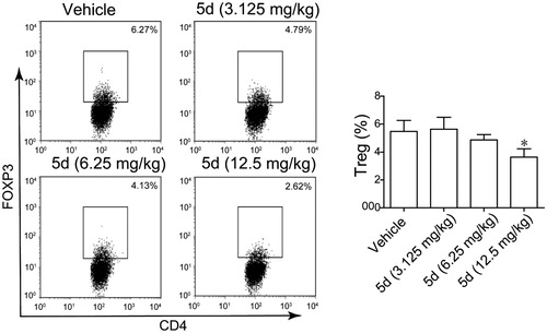 Figure 12. Compound 5d decreased Treg cell differentiation in the CT26 tumour-bearing mouse. (A) Decreased differentiation of Treg cells in the spleen of tumour-bearing mice treated by compounds. (B) Statistical analysis of result A. Data represent mean ± SEM, *p < 0.05 vs vehicle.