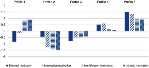 Figure 1 Profiles of work motivations from LPA (Study 1).