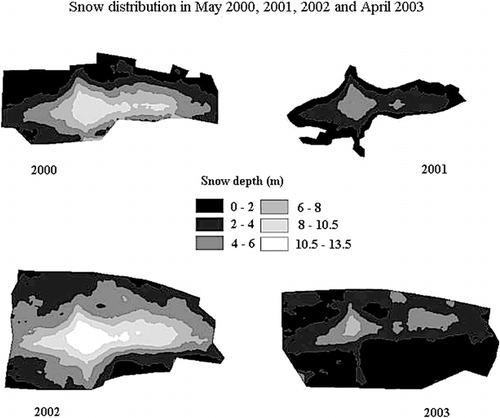 FIGURE 5.  Snow cover models of the snowbed, based on snowpack depth measurement in four consecutive winter seasons in 2000, 2001, 2002, and 2003