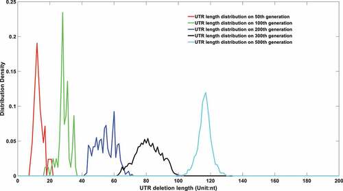 Figure 6a. (A). UTR deletion size distribution at different generations based on undifferentiated attenuation model. 50th, 100th, 200th, 300th and 500th generations were selected to further analyse their UTR region deletion degree. 50th, 100th, 200th, 300th and 500th generations were marked in the red line, green line, blue line, black line, and cyan line, respectively. (B). UTR deletion size distribution at different generations considering reduced deletion probability at certain bottleneck points. 50th, 100th, 200th, 300th and 500th generations were selected to further analyse their UTR region deletion situation. 50th, 100th, 200th, 300th and 500th generations were marked in the red line, green line, blue line, black line, and cyan line, respectively.