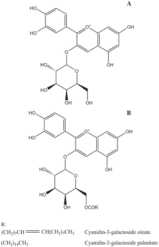 Figure 2. Structures of (A) the Cyanidin-3-galactoside and (B) the Cyanidin-3-galactoside esters.