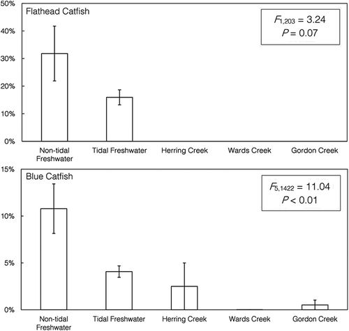 FIGURE 7. Results of logistic regression used to analyze binary differences in alosine presence (1 = present; 0 = absent) in the spring diets of Flathead Catfish (upper panel) and Blue Catfish (lower panel) collected from each sampling area in the James River (note that the y-axis scale differs between panels). Error bars =SEs. A significant difference was detected for Blue Catfish, and post hoc testing revealed that Blue Catfish predation on alosines was significantly higher in nontidal freshwater areas (Tukey’s honestly significant difference test: P < 0.01).