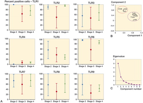 Figure 2. Histomorphometric and principal component analysis (PCA) of toll-like receptor protein expression in cartilage from CMC-I OA patients. A. TLR expression was heterogeneous with no statistical significance during progression between stages. CMC-I OA cartilage degradation stages were graded according to the Eaton-Glickel radiological score. Results are expressed as mean and SD. For each SFA score, n = 4. B. PCA of the histomorphometric TLR data in OA of the CMC-I joint. 95% confidence ellipsoids drawn from PCA show a clear separation of the TLR7, TLR8, and TLR9 cluster from the TLR1, TLR2, TLR3, and TLR5 cluster—and that TLR4 had no association with either. Loading values varied from −1 to 1 and represent correlation of the variable with the principal components (PCs). Cases with missing data were excluded list-wise. Oblique promar and orthoganal varimax rotations gave similar results. C. The eigen value 1 criterion was used to select the PCs.