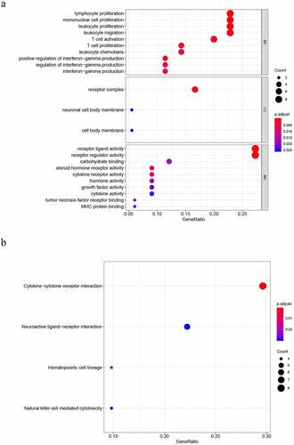 Figure 2. Results of gene functional enrichment. (a) GO analysis shows the biological processes and molecular functions involved in DIRGs. (b) KEGG pathway analysis of differentially immune-related genes