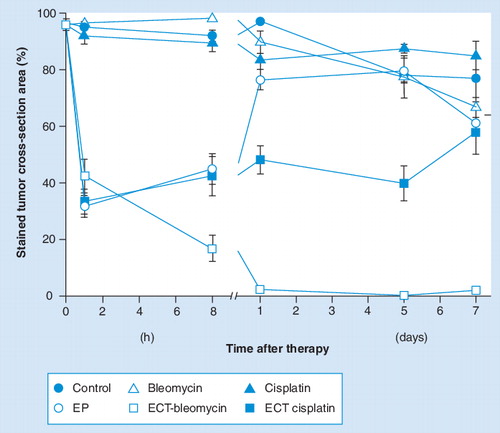 Figure 5. Electrochemotherapy with cisplatin and bleomycin: comparison of the effects on blood flow in tumors.The results of the PBV-staining technique are shown. Symbols represent mean values of at least six mice with standard error of the mean. Time 0 corresponds to the pretreatment value. Bleomycin and cisplatin were injected 3 min prior to EP at doses 5 mg/kg and 4 mg/kg, respectively. EP protocol: eight pulses, amplitude 1040 V, duration 100 µs, 1 Hz, plate electrodes, interelectrode distance 8 mm.ECT: Electrochemotherapy; EP: Electroporation.Based on combined data from Citation[67,81,82].